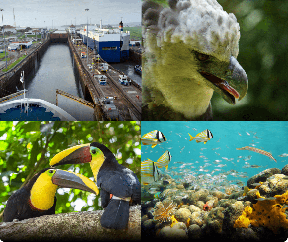 Images of key Greek Sites