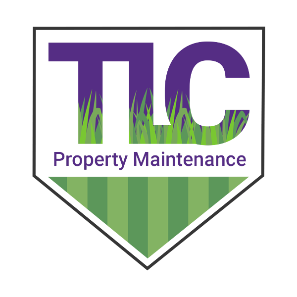 Growing in the (sub)tropics the best hedge plants for Brisbane TLC