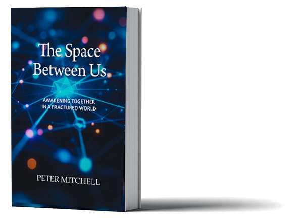 The Space Between Us Book