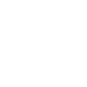 Typhoid Vaccination icon
